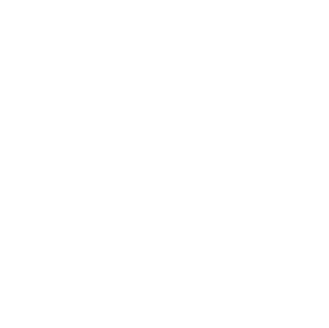 Unlock Potential Icon