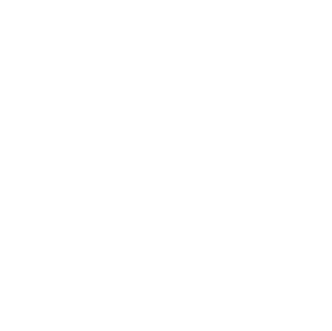 Expert Guidance Icon