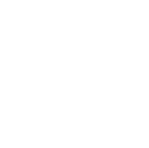 Tailored Solutions Icon