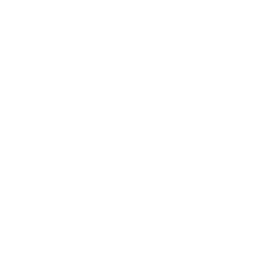 Building Digital Foundations Icon