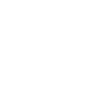 Transforming the Past Icon